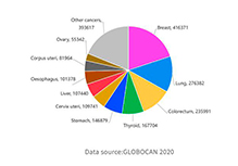 Individualized Medication Guidance for Cancer (800 Genes)