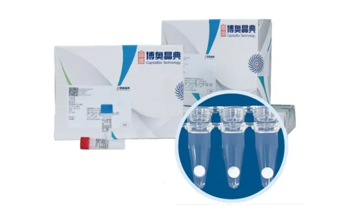 Respiratory System Infection Pathogen Targeted Next-generation Sequencing (tNGS) Kit